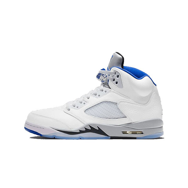 Air Jordan 5- White Stealth (2021)